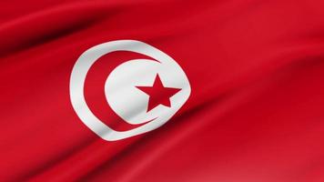 Tunisia flag waving