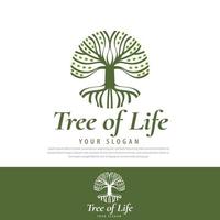 Family Tree of Life seal logo design template, tree illustration, symbol, icon