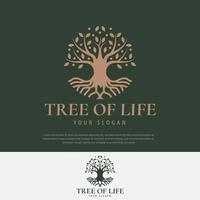 Family Tree of Life logo design vector illustration, symbol, icon illustration