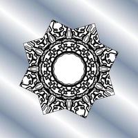 beautiful mandala in the stars. vector