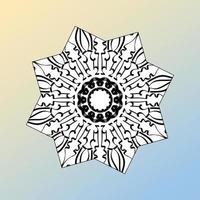 beautiful mandala in the stars vector