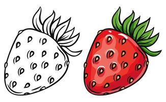 Fresh strawberry and outline on white background