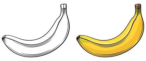 Plátano fresco y contorno sobre fondo blanco. vector