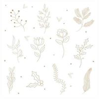 vector illustration floral botanic elements. flowers and herbs isolated background.