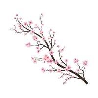 Cherry blossom tree branch with sakura flower. Pink sakura flower background. Sakura on white background. Watercolor cherry bud. Watercolor cherry blossom. Cherry blossom flower blooming vector. vector