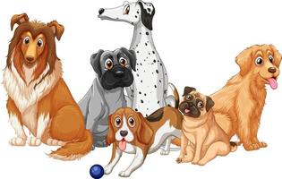 Group of dog breeds on white background vector