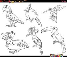 cartoon birds animal characters set coloring book page vector