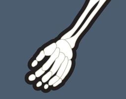 hueso esqueleto de la mano humana vector