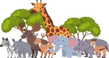 Cute African animals in flat style vector