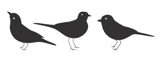Vector set of birds silhouette. Sitting and flying birds