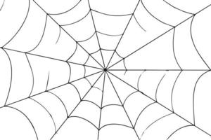 Cobweb background. Vector illustration