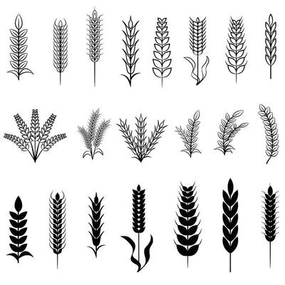Wheat wreaths and grain spikes set icons