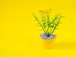Photo of flowers in a beautiful vase on a yellow background