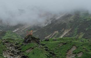 Lush Greenery Covered Mountainside of Himalayas and Springs of Glacial Water. photo