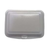 Lunch box on a styrofoam container on isolated wihite background photo