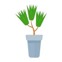 Dragon Houseplant Concepts vector