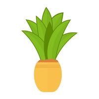 Aspidistra Elatior Concepts vector