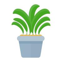 Aspidistra Elatior Concepts vector