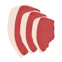 Beef Tenderloin Concepts vector