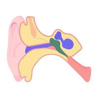 conceptos de oído de moda vector