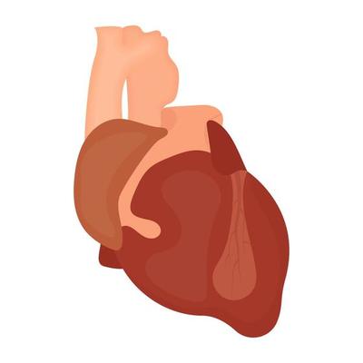 Trendy Heart Concevpts