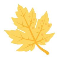 Maple Leaf Concepts vector