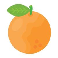 conceptos de naranja fresca vector