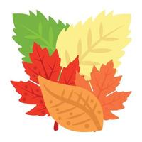 conceptos de hojas de otoño vector