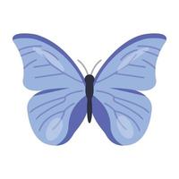 Trendy Butterfly Concepts vector