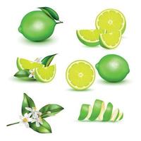 Lemon Realistic Set vector