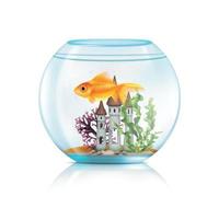 Aquarium Fish Realistic Composition vector