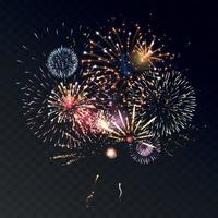 Firework Animation Transparent Concept vector