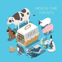 Veterinary Isometric Composition vector