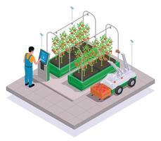 Modern Greenhouse Isometric Colored Concept vector