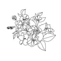 Botanical Flowers Line Art vector