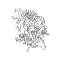 Botanical Flowers Line Art vector