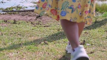 Aziatische vrouwelijke toeristen wandelen langs het meer en genieten van het uitzicht met een vrolijke stemming op een zonnige dag. outdoor reizen en natuur thema. video