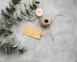 Eucalyptus branches on a concrete background photo