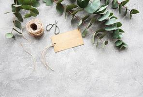 Eucalyptus branches on a concrete background photo