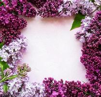 Lilac spring flowers border photo