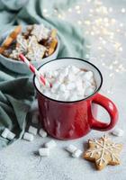 Christmas hot cocoa  in the red cup