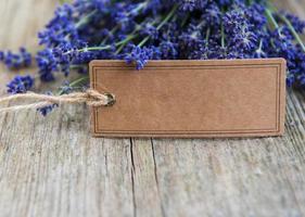 Empty tag and lavender flowers photo