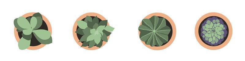 Collection of succulents in flowerpots vector illustration. Home plants set top view. Potted cactus for indoor decoration.