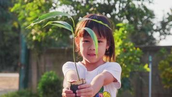 Asian little girl holding young plant in spring outdoors. Environment and save the world concept. video