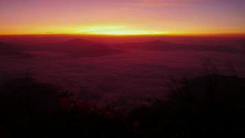 de zonsopgang bij phu chi fa chiang rai, thailand video