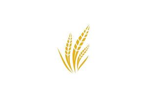 Wheat logo template design vector, icon illustration vector