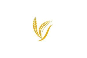 Wheat logo template design vector, icon illustration vector