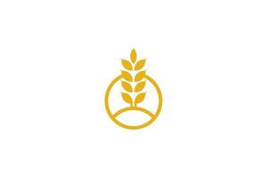 Wheat logo template design vector, icon illustration vector