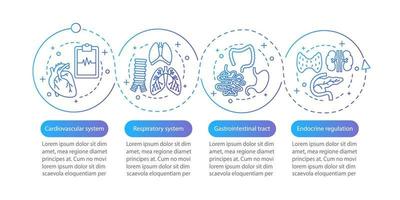 Plantilla de infografía de vector de medicina y salud. sistemas respiratorio y cardiovascular. visualización de datos con cuatro pasos y opciones. gráfico de la línea de tiempo del proceso. diseño de flujo de trabajo con iconos