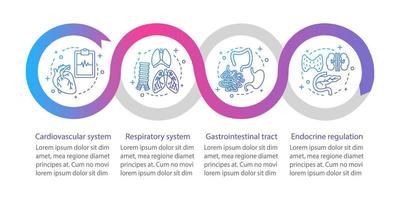 Plantilla de infografía de vector de medicina y salud. tracto gastrointestinal, regulación endocrina. visualización de datos con cuatro pasos y opciones. gráfico de la línea de tiempo del proceso. diseño de flujo de trabajo con iconos